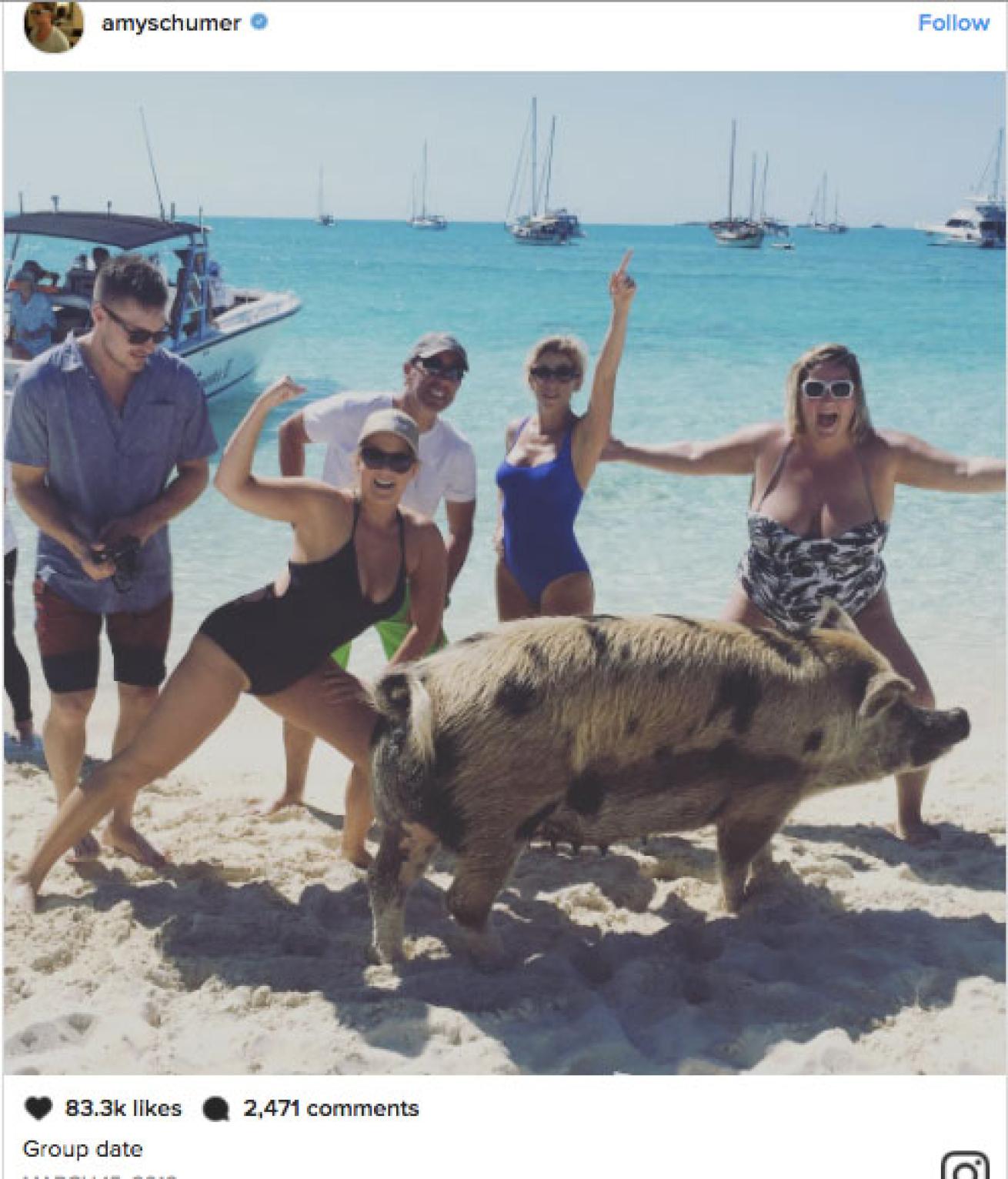 Amy Schumer and Jerry Seinfeld with Bahamas swimming pigs