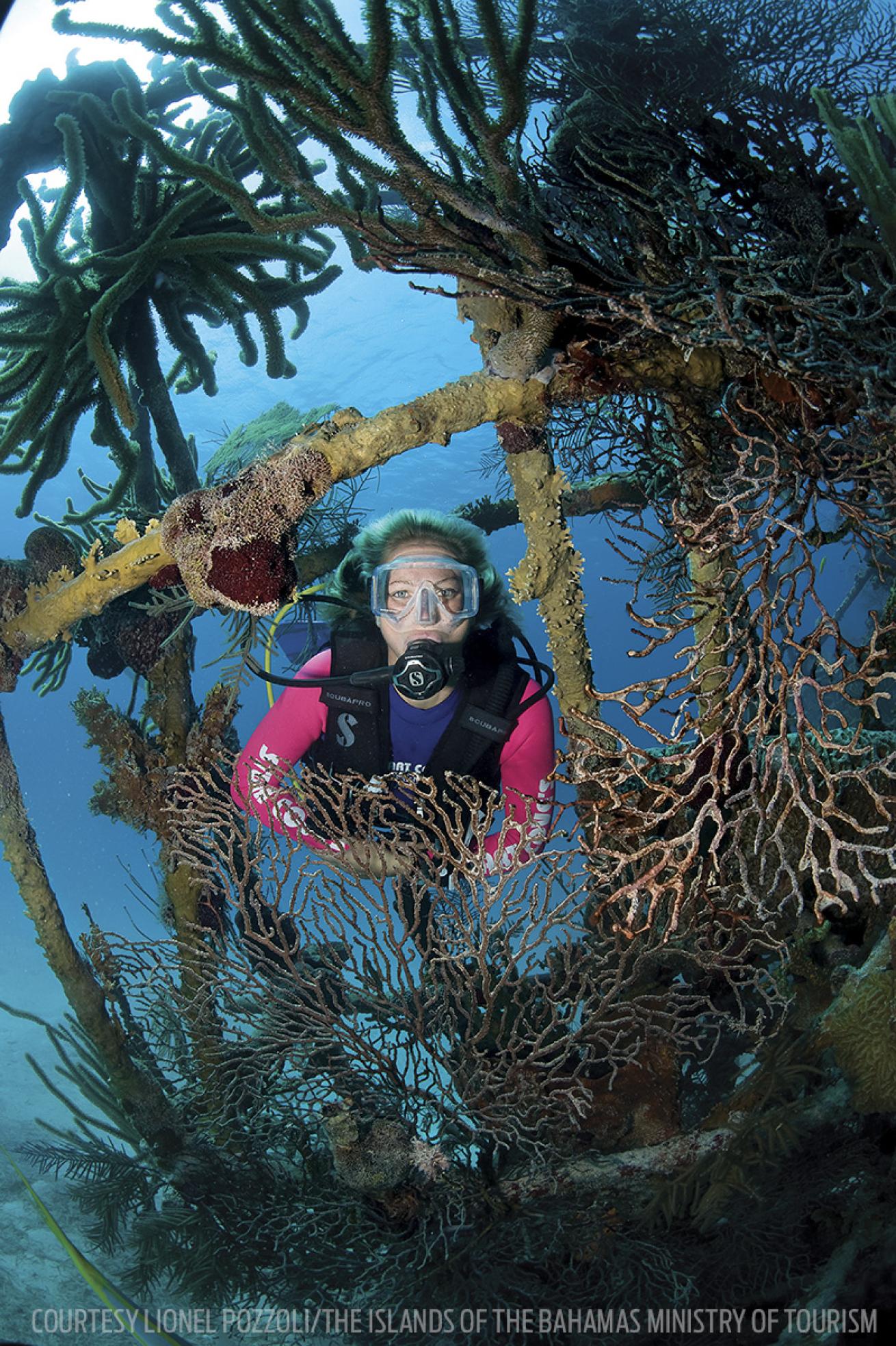 james bond shipwrecks scuba diving