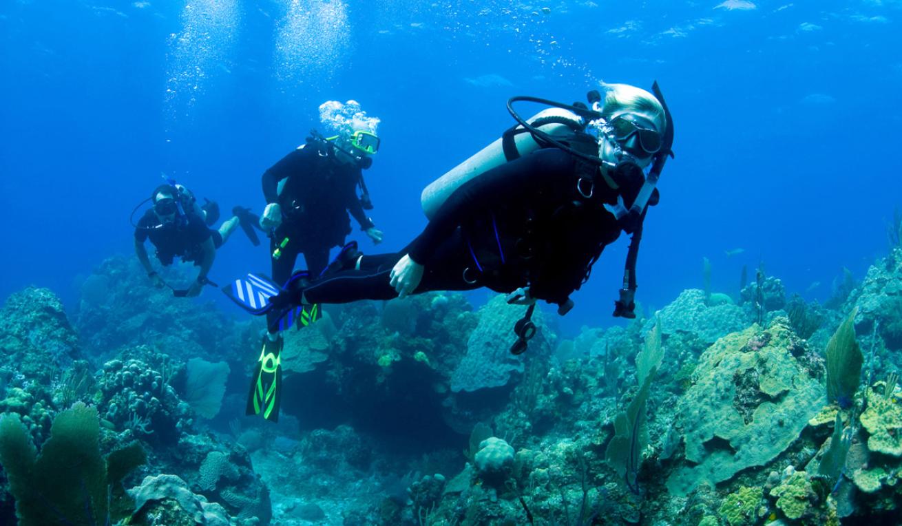 Bahamas diving liveaboard