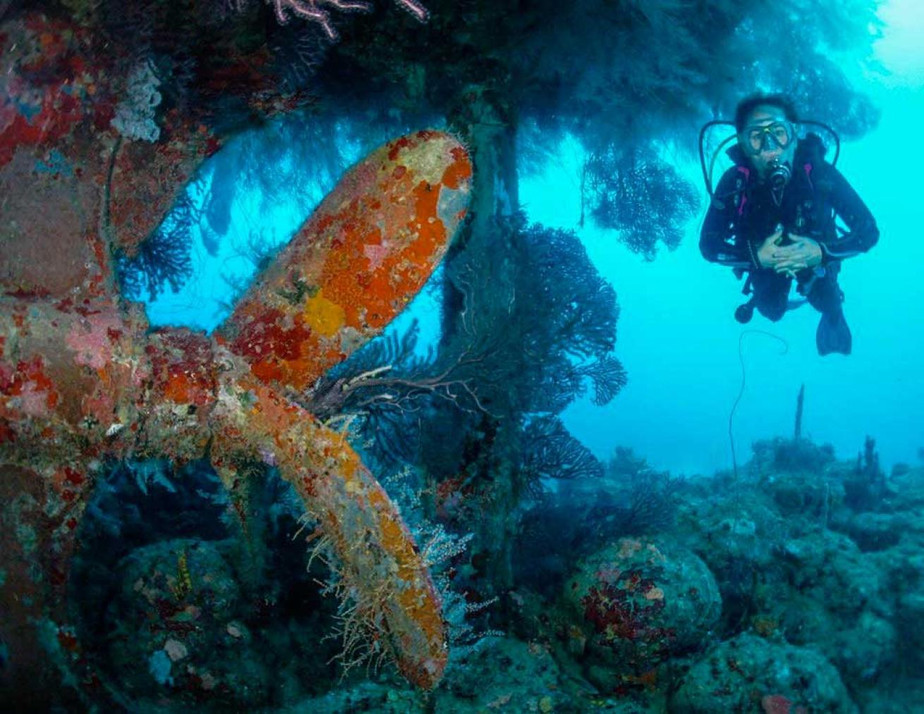 Becky Strauss, Senior Editor, Sport Diver magazine