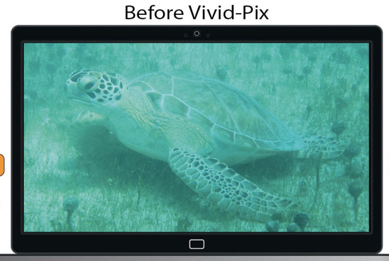 before Vivid-Pix