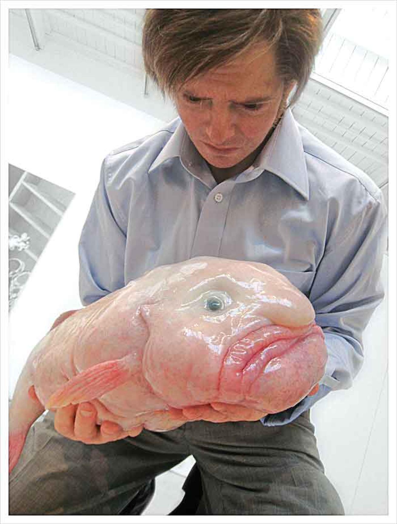 blobfish