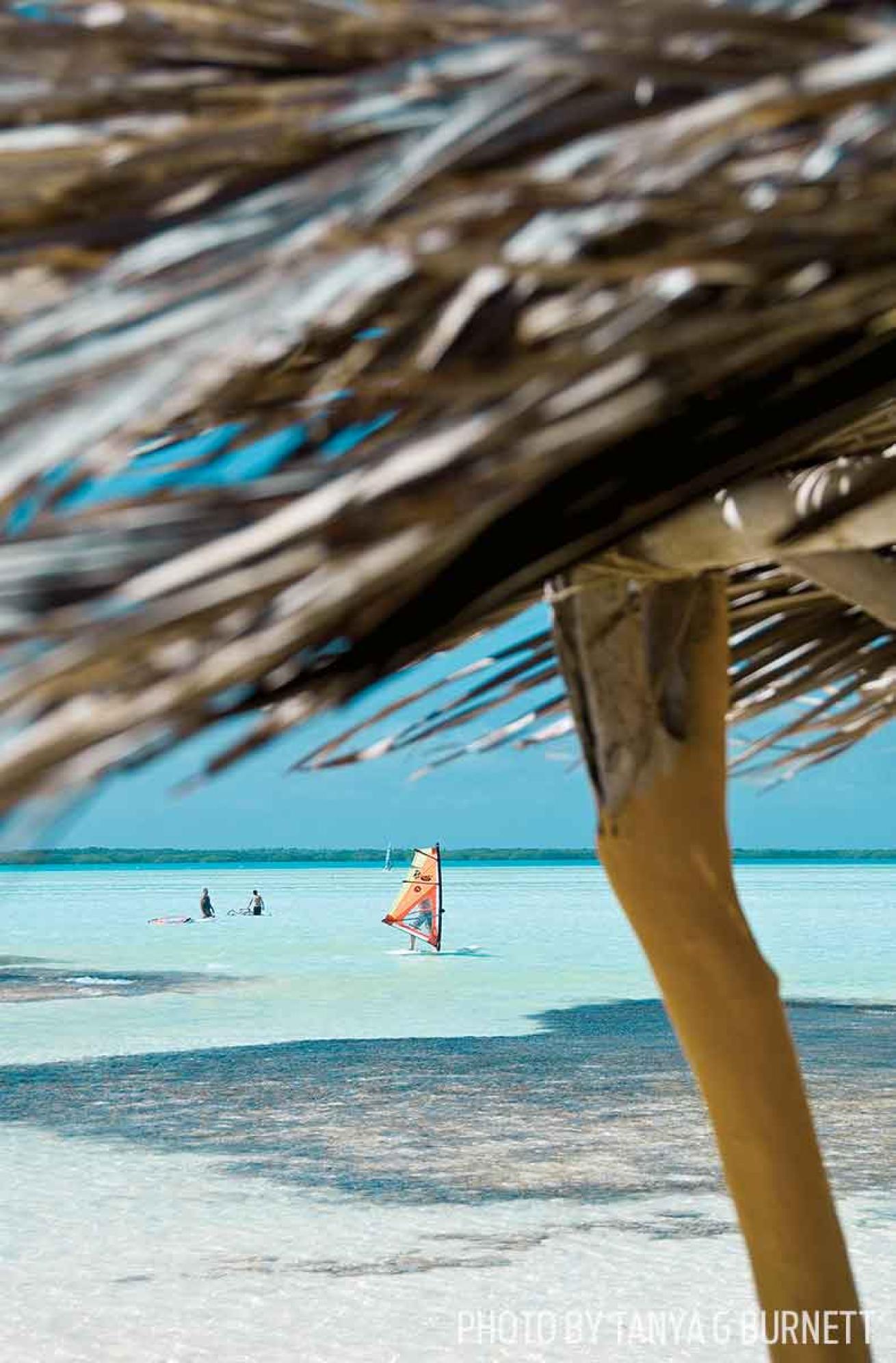 bonaire living info