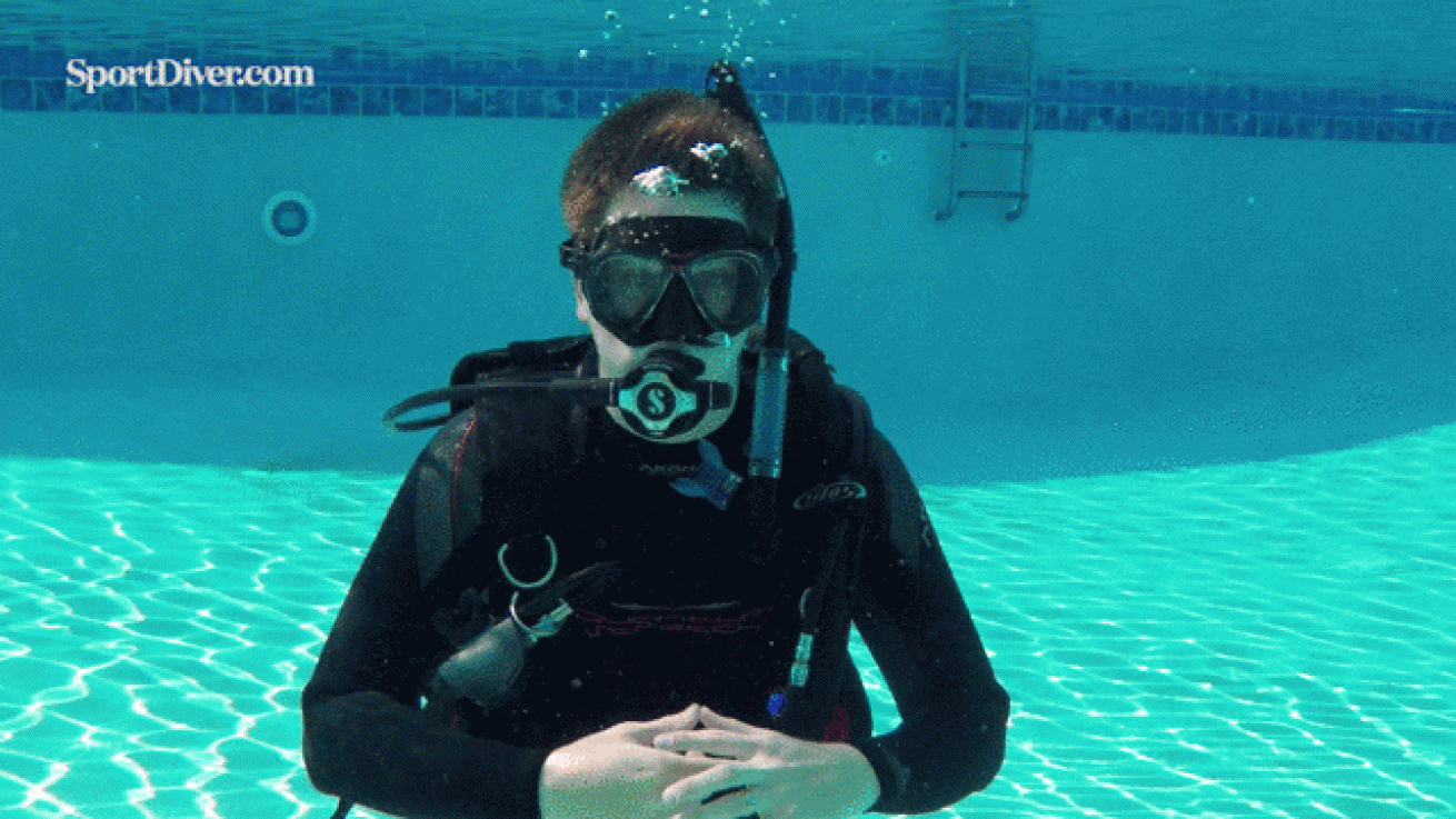 Boxfish hand signal