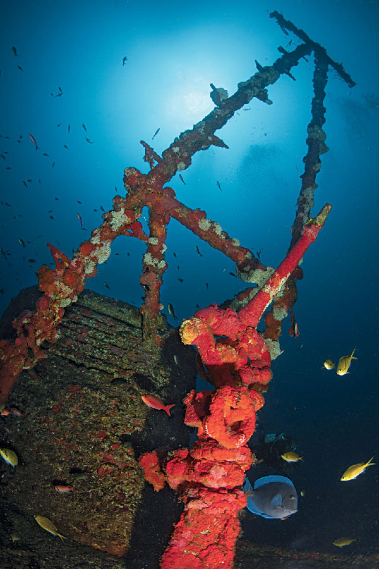shipwreck off of the Fernando de Noronha islands