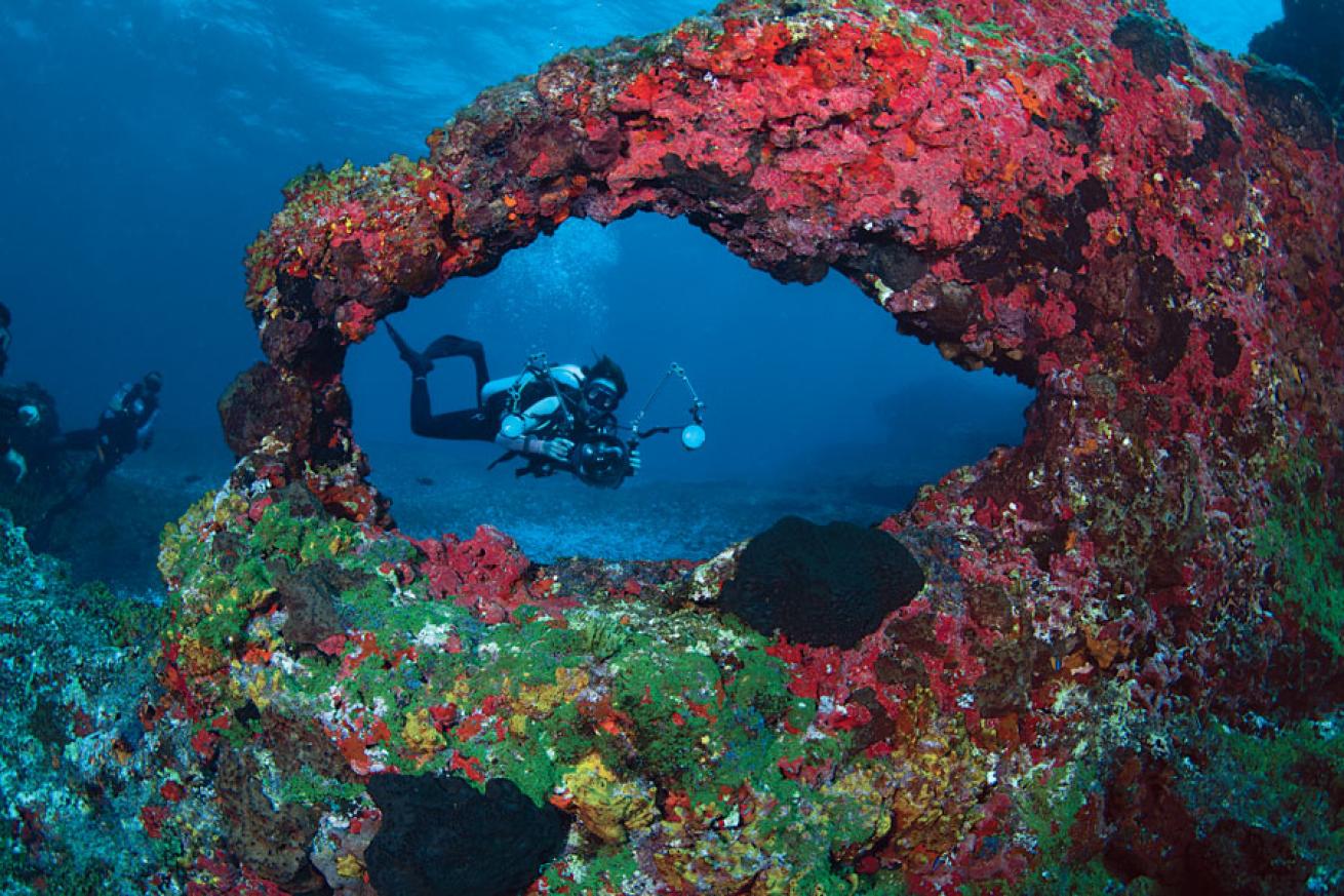 Underwater Arch