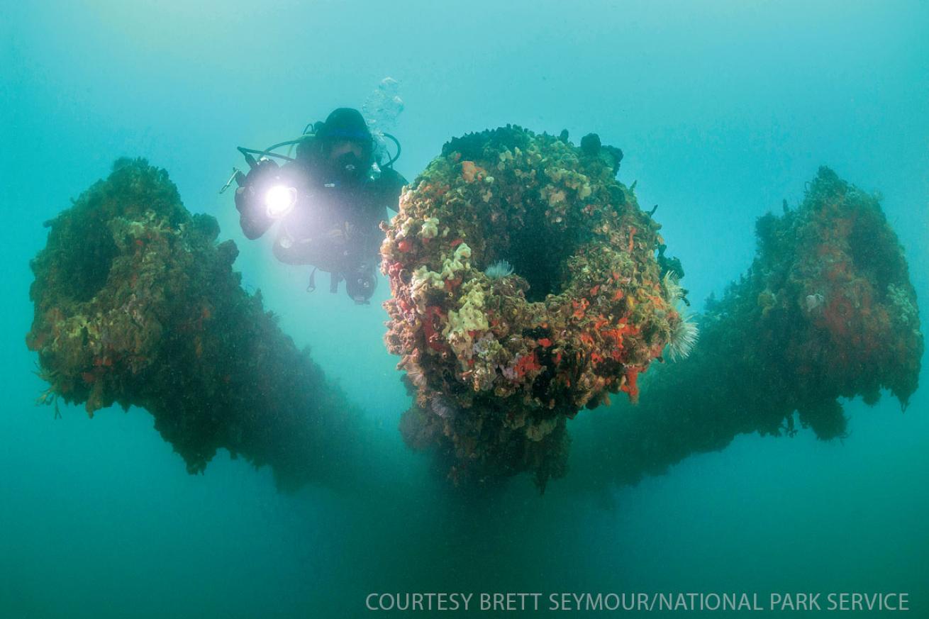 scuba diving the national parks