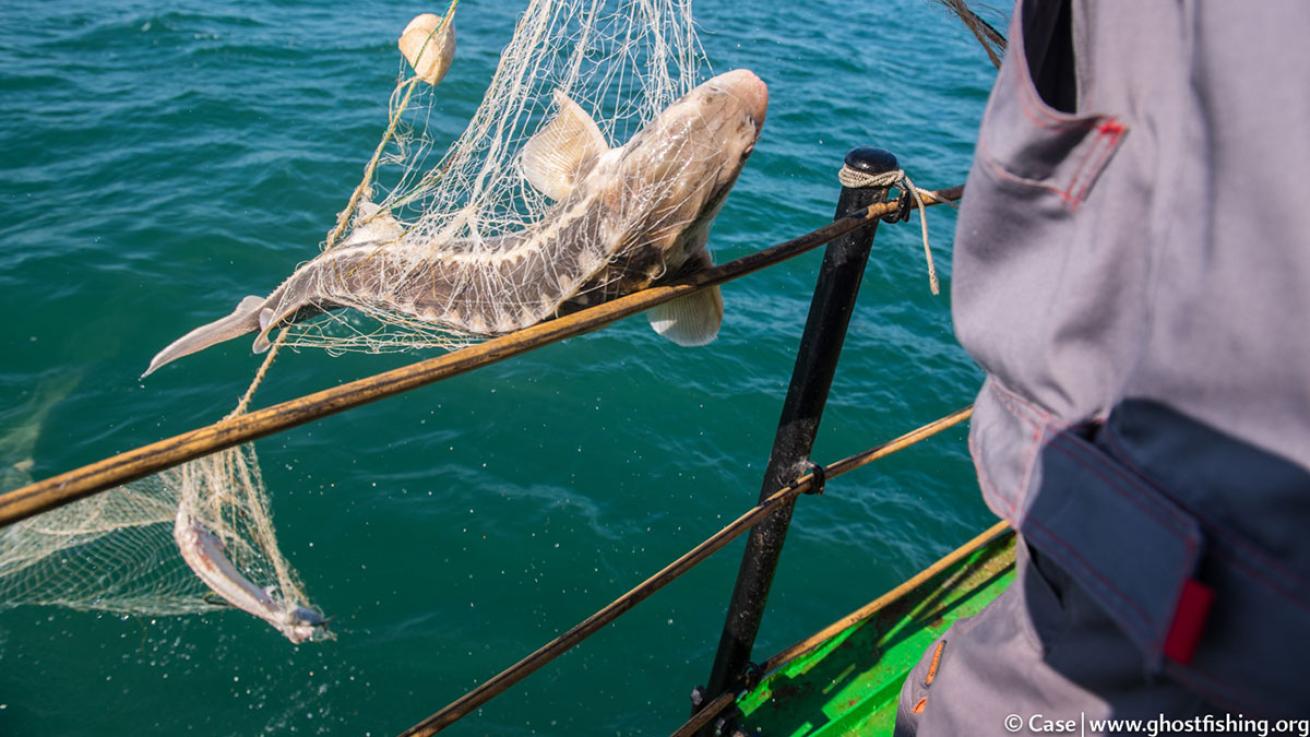 ghostfishing