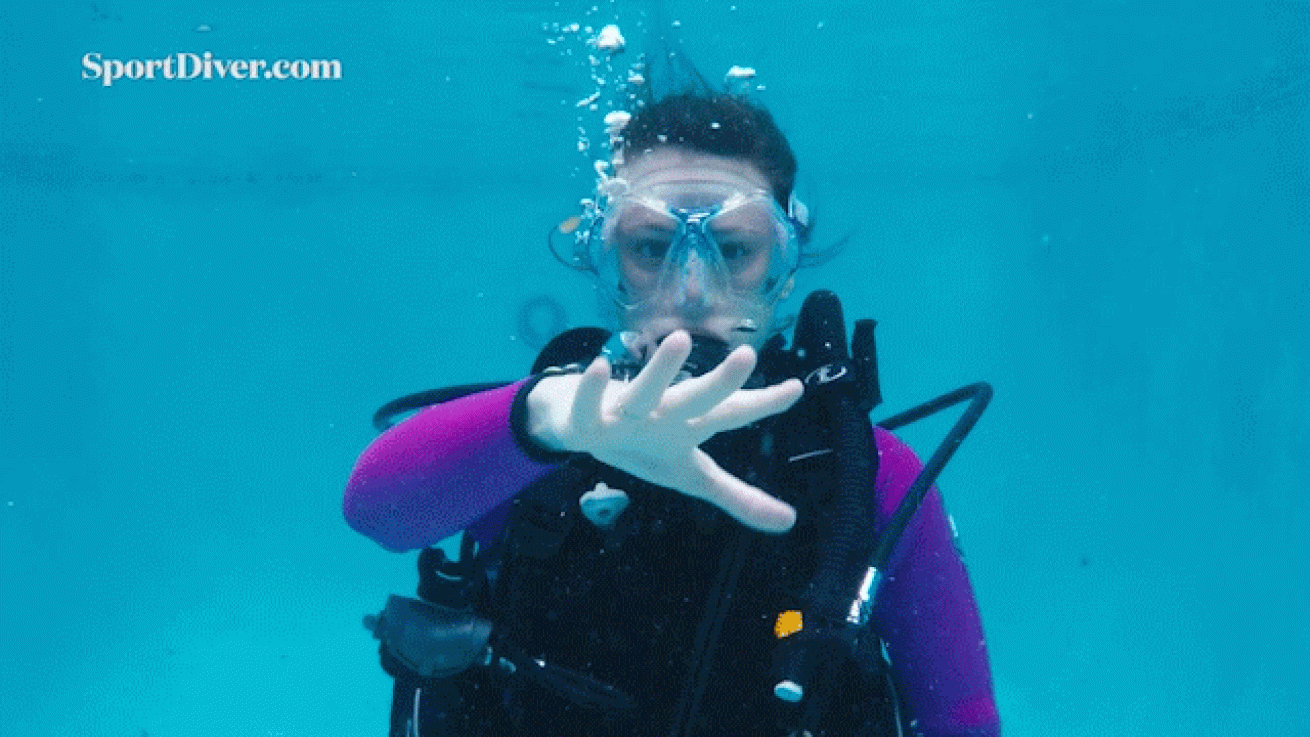 scuba diving hand signals