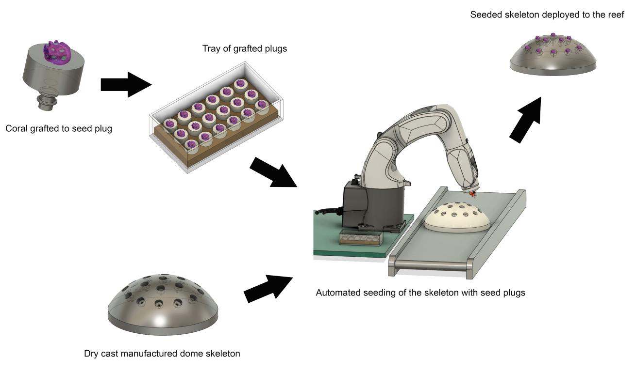Coral maker production line