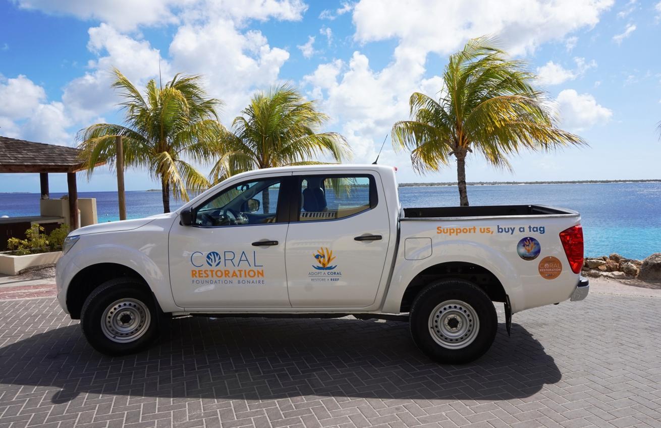 coral restoration bonaire
