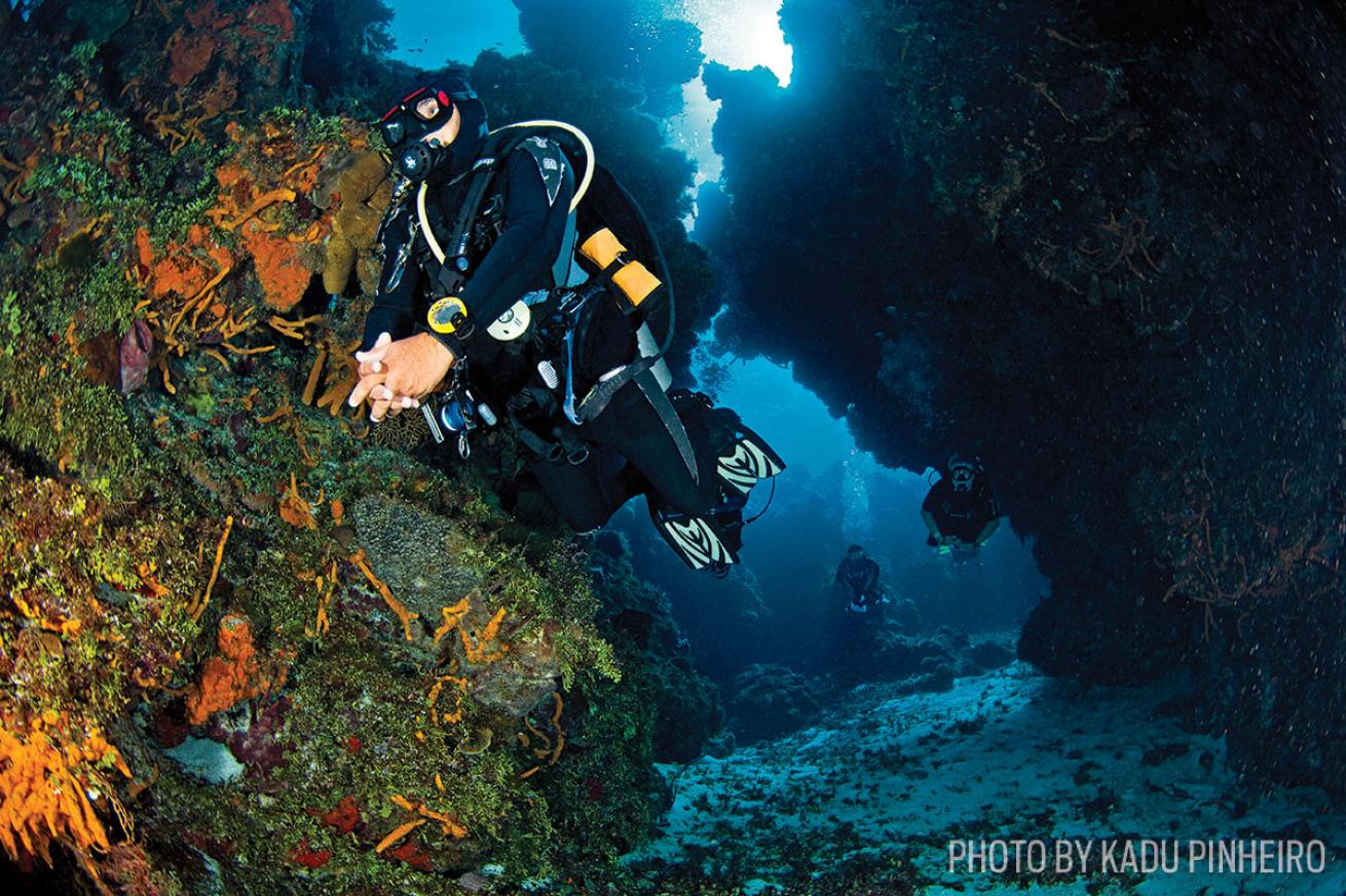 scuba diving cozumel