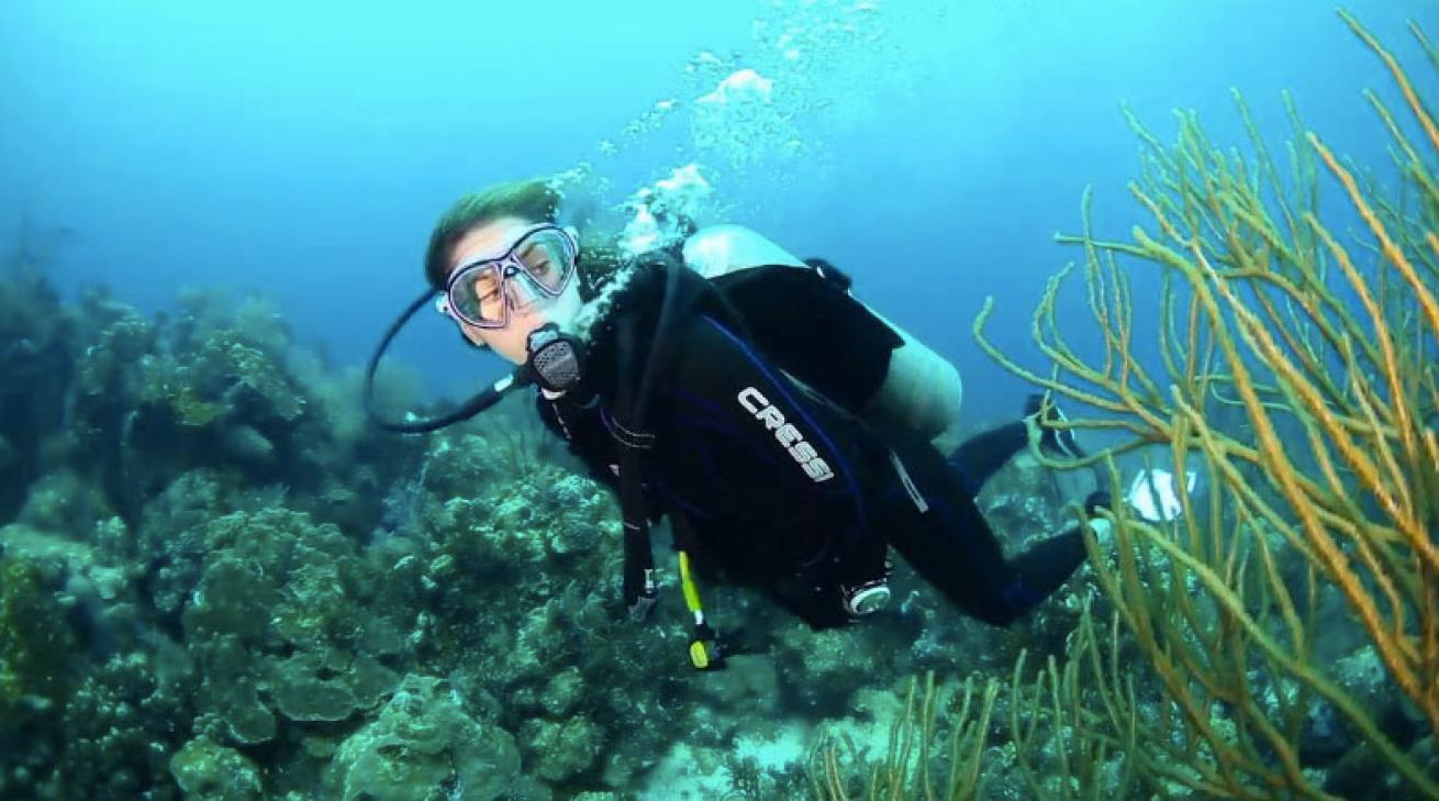 diver swimming underwater