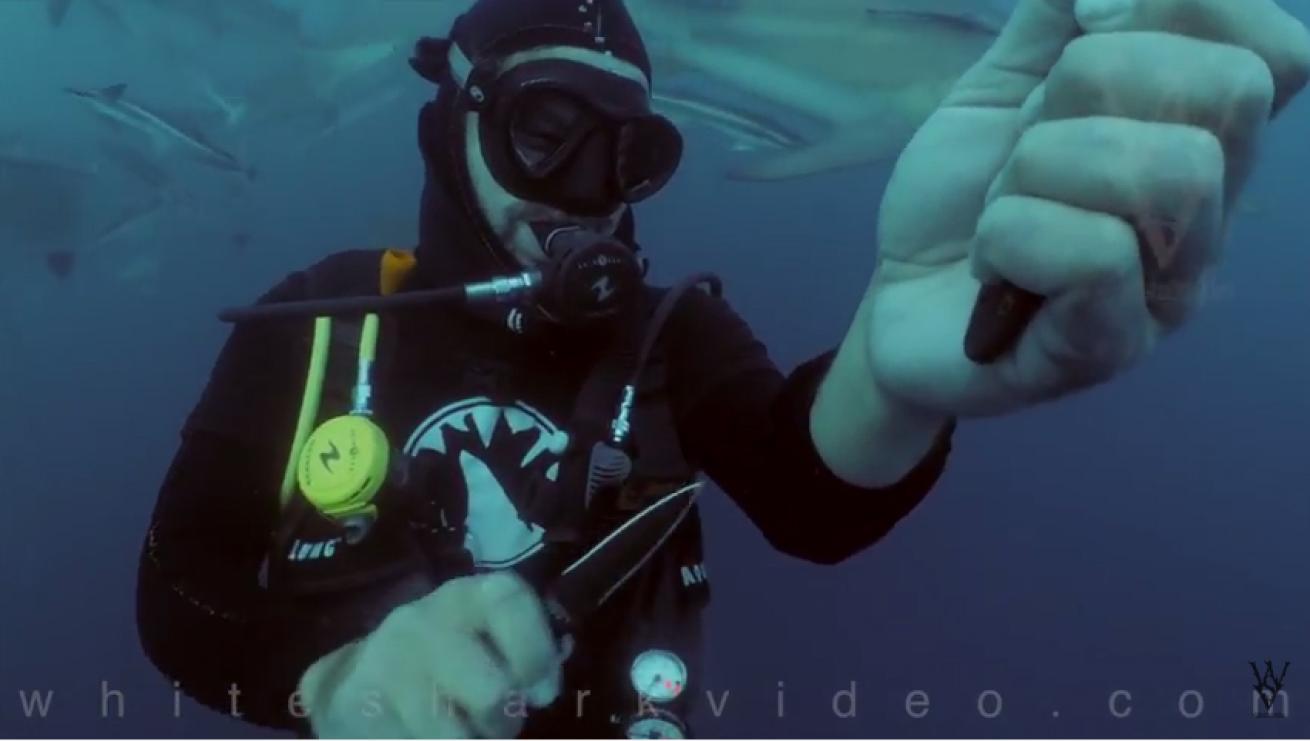 man cuts wrist sharks video