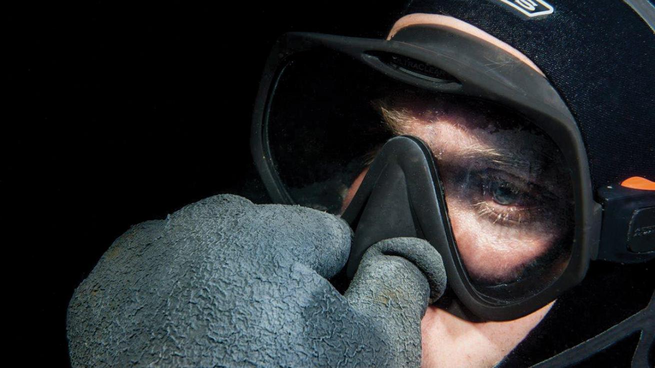 divers alert network