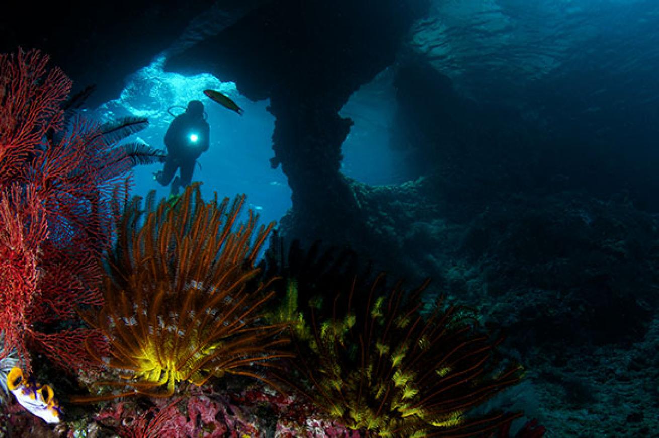 scuba diving raja ampat
