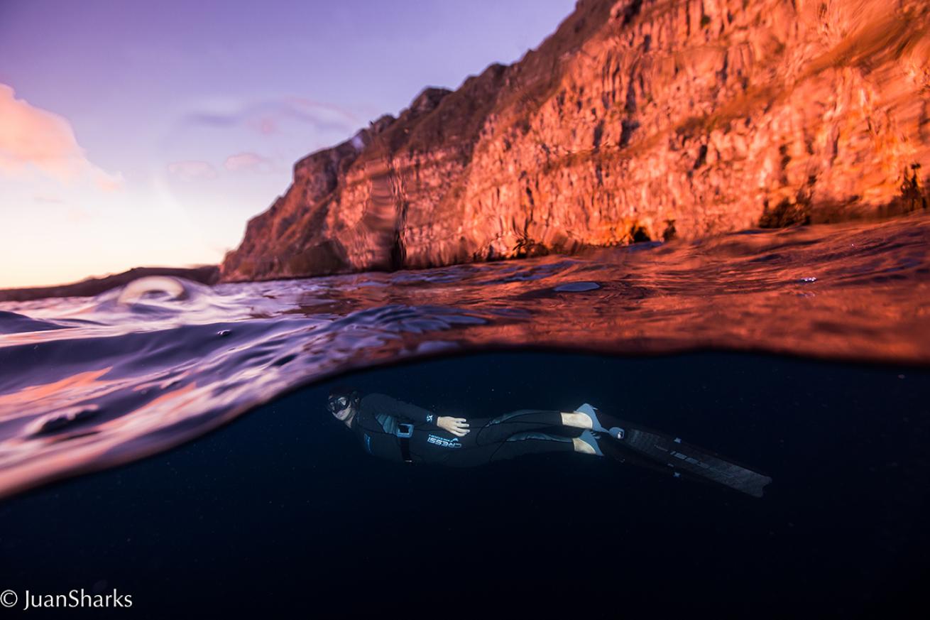 galapagos islands free diving