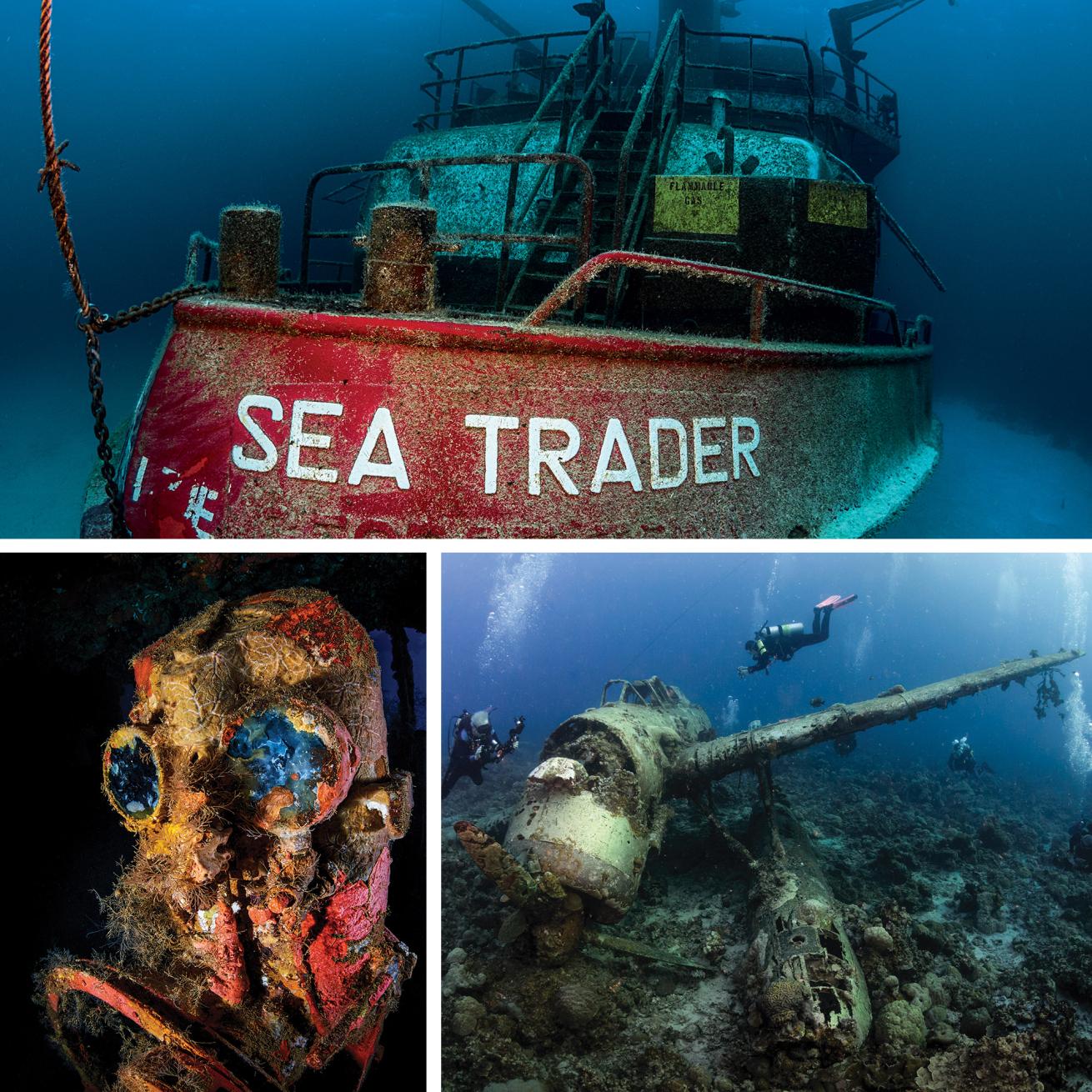 wreck divers