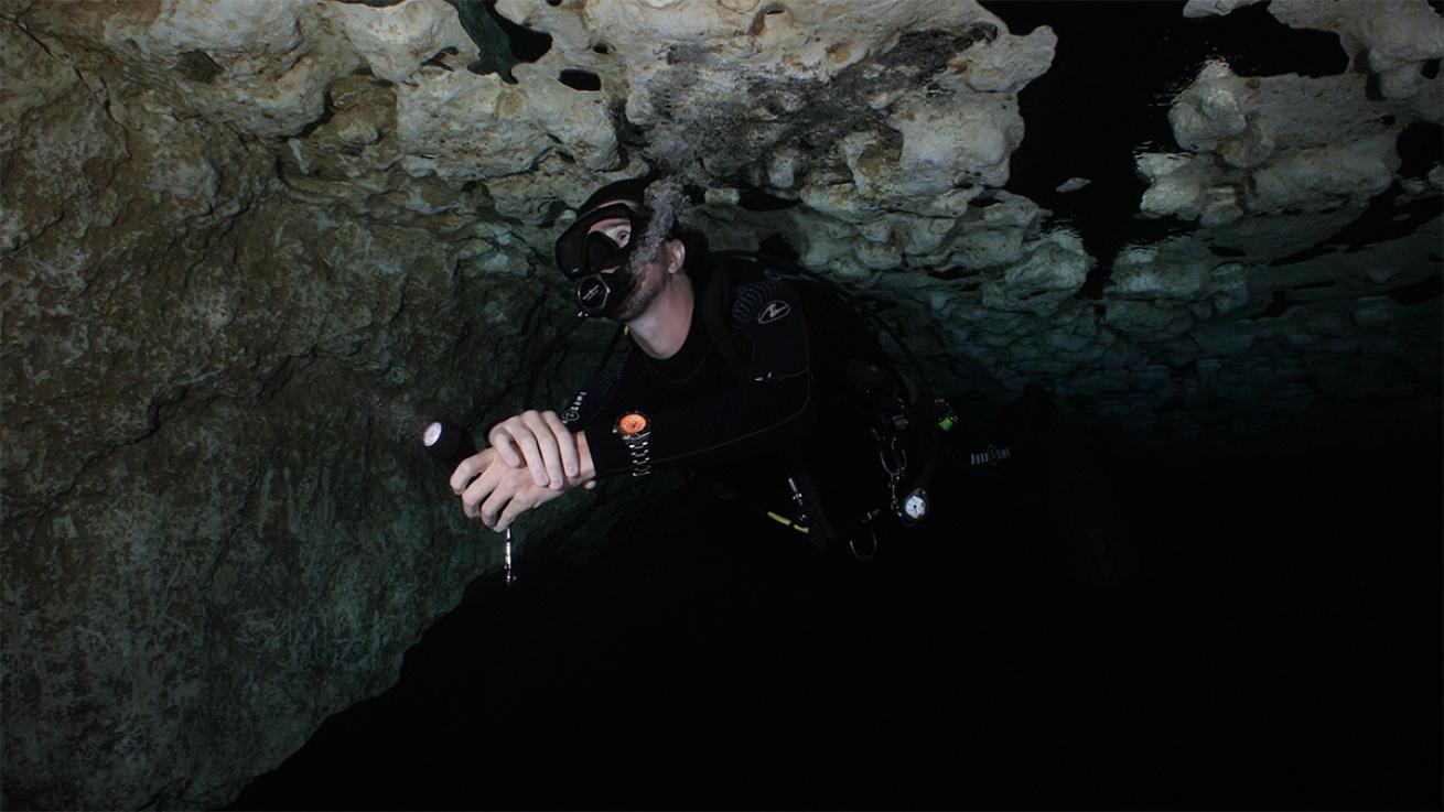 dive watches