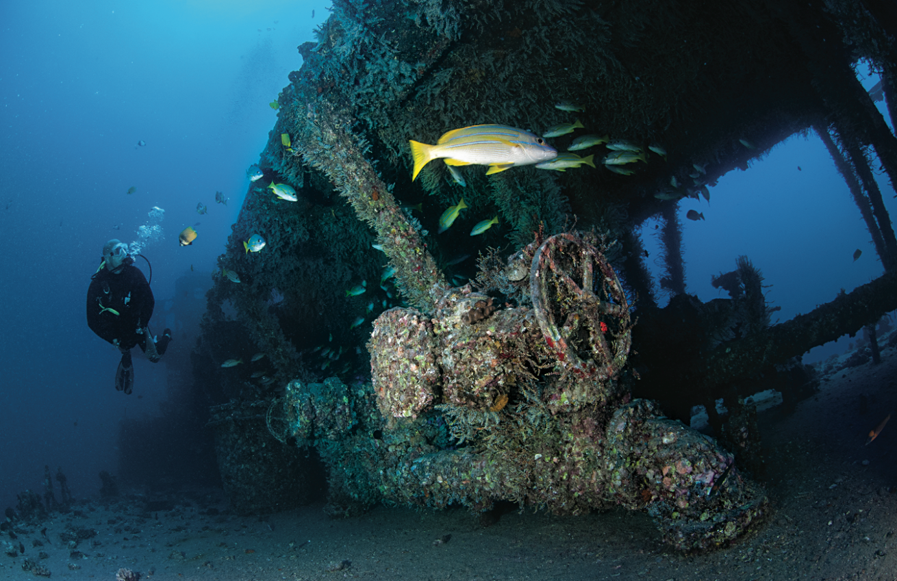 scuba diving waikiki wrecks