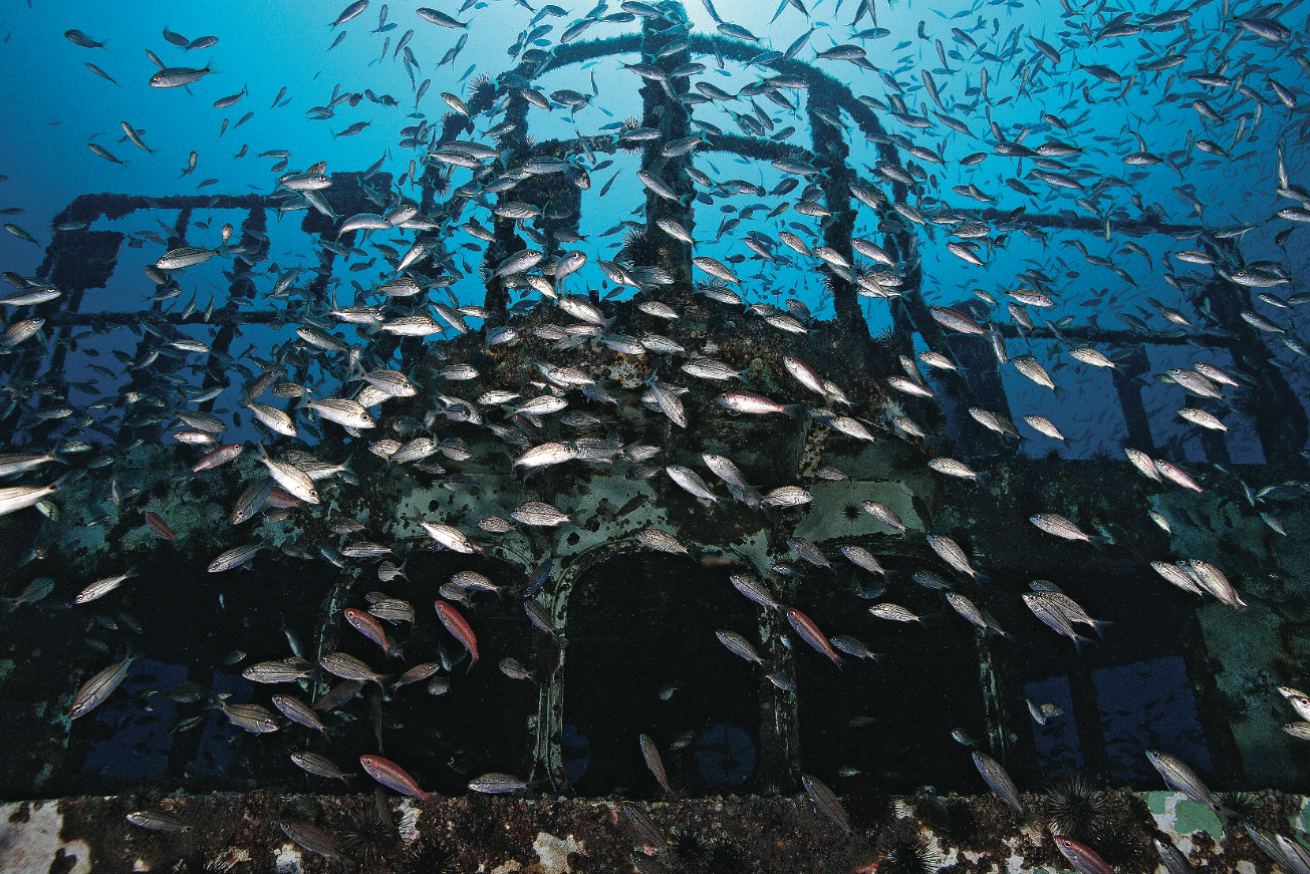 scuba diving north carolina wrecks
