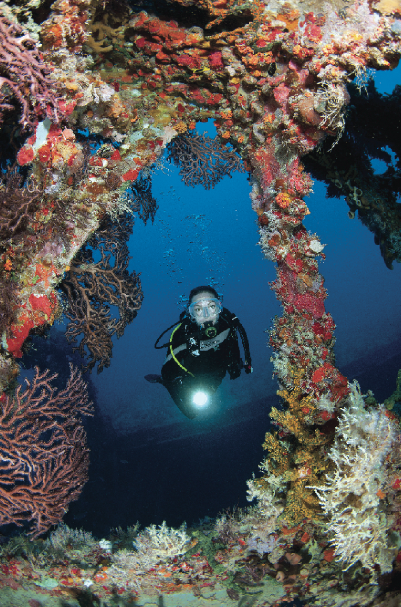 scuba diving key largo