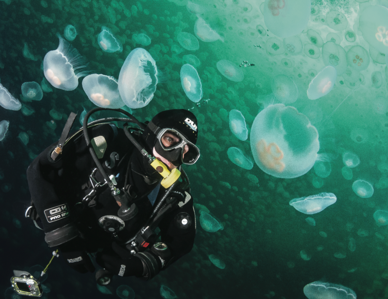 scuba diving alaska