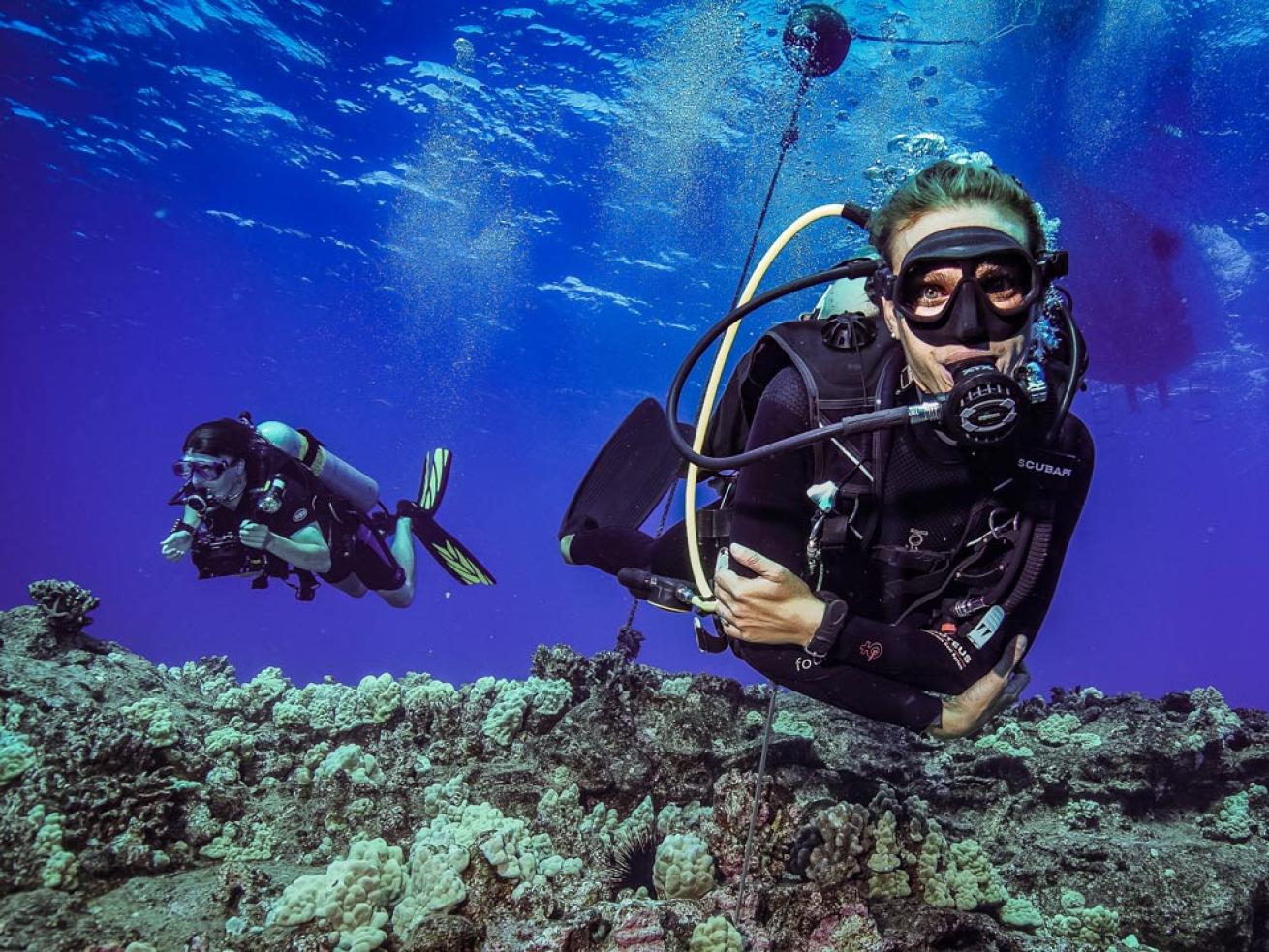 Yoga and Diving