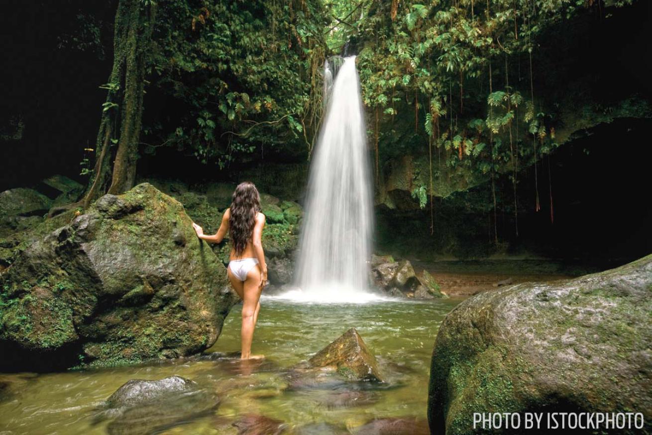 emerald pool waterfall dominica