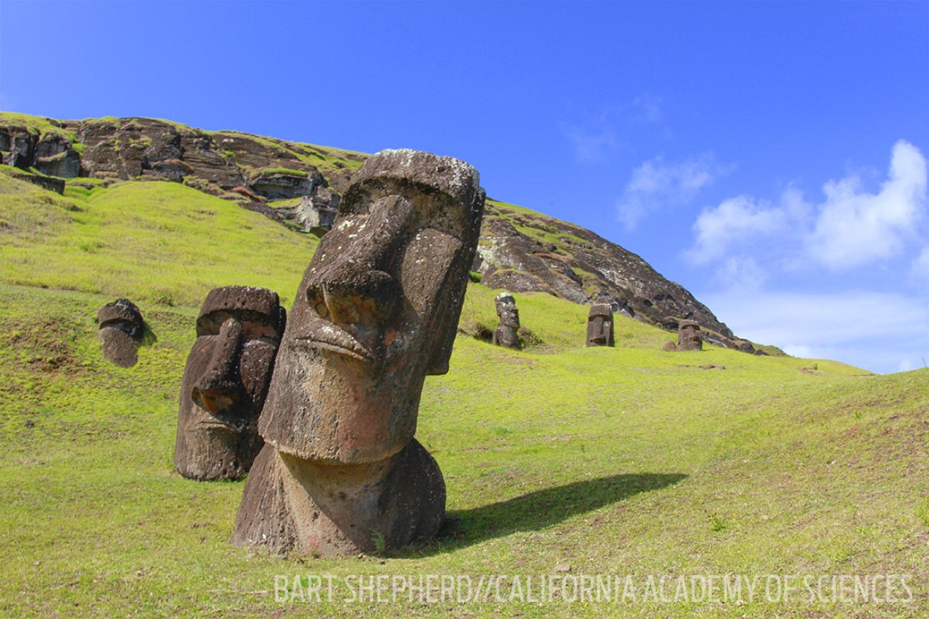 easter island carvings