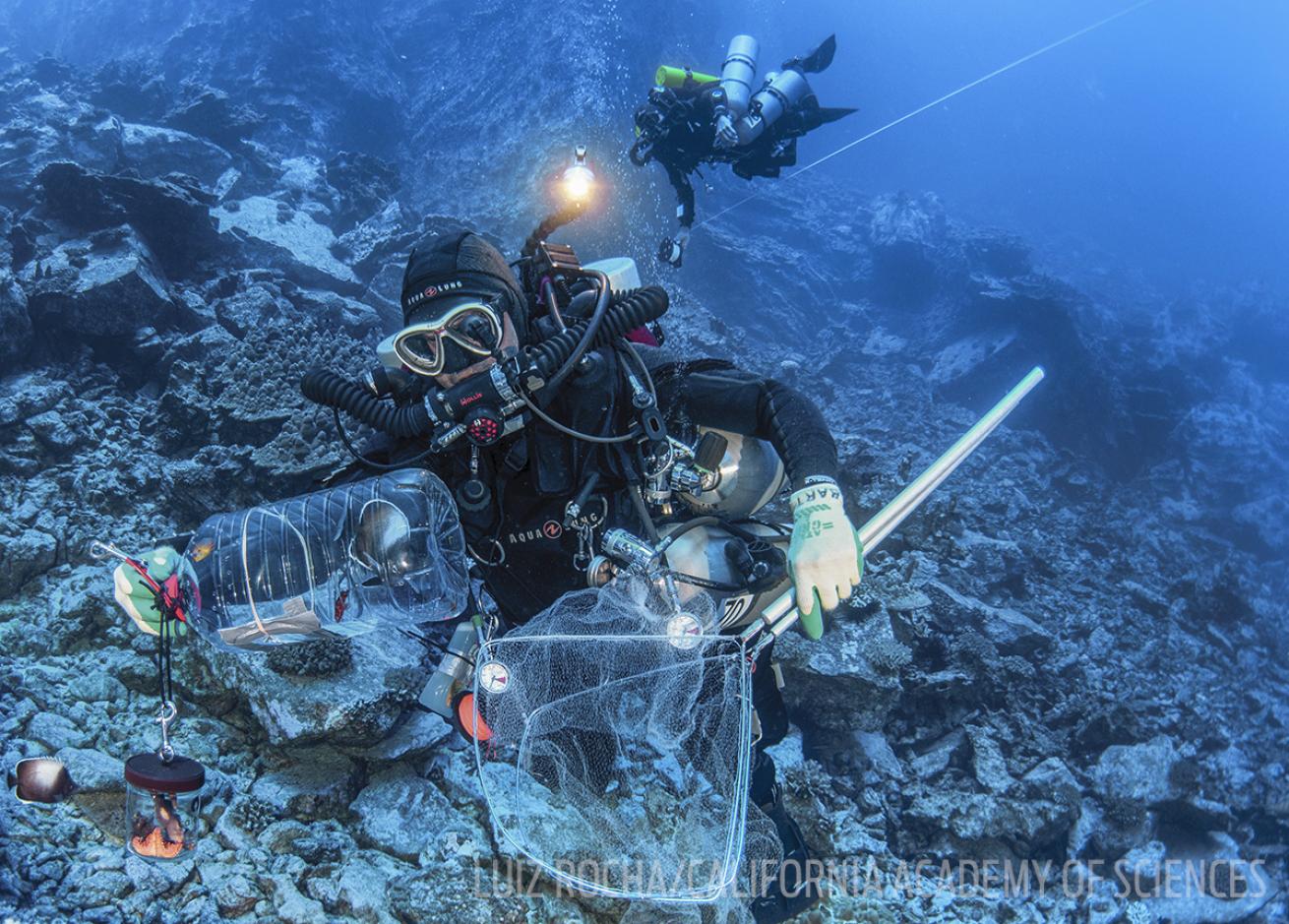 easter island scuba diving discovery