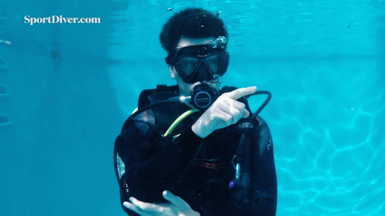 scuba diving hand signals