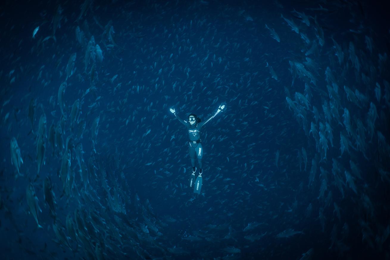 freediving galapagos islands