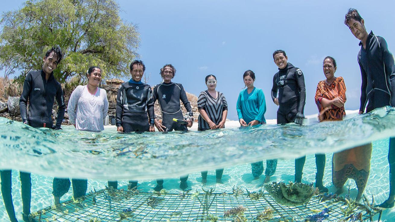coral restoration indonesia