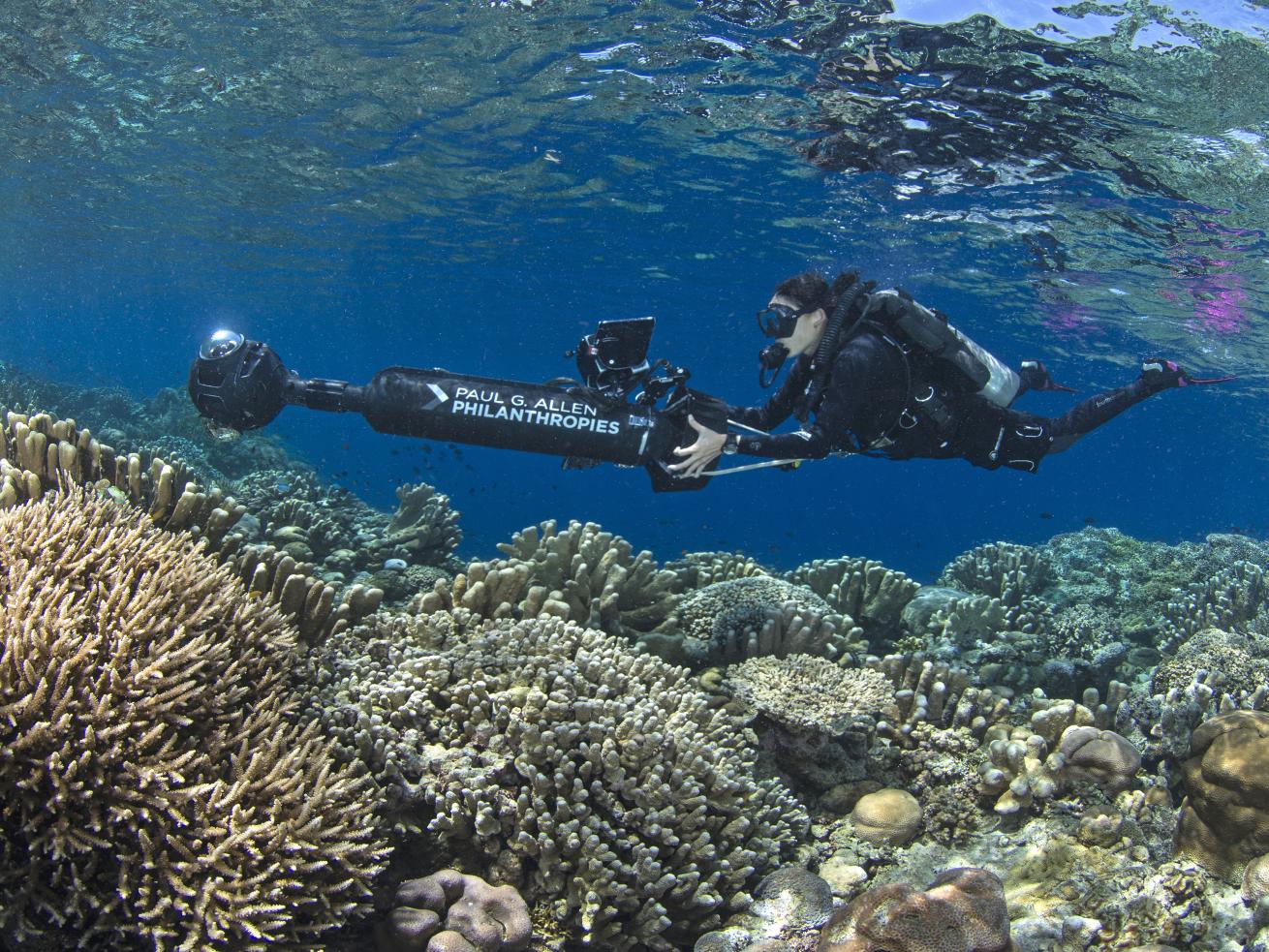 scuba diver surveys reef