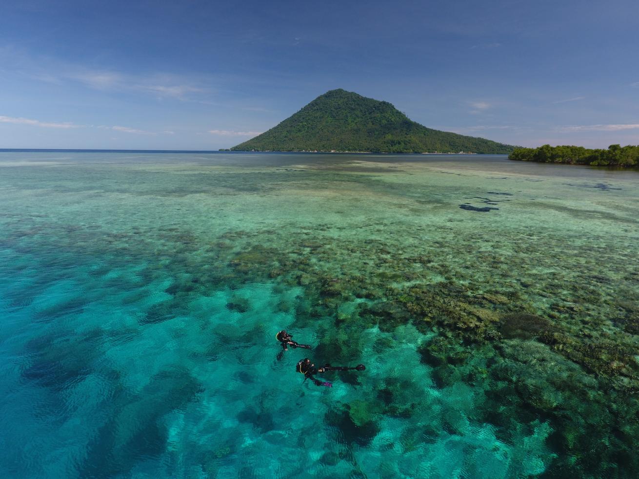 coral reef manado indonesia