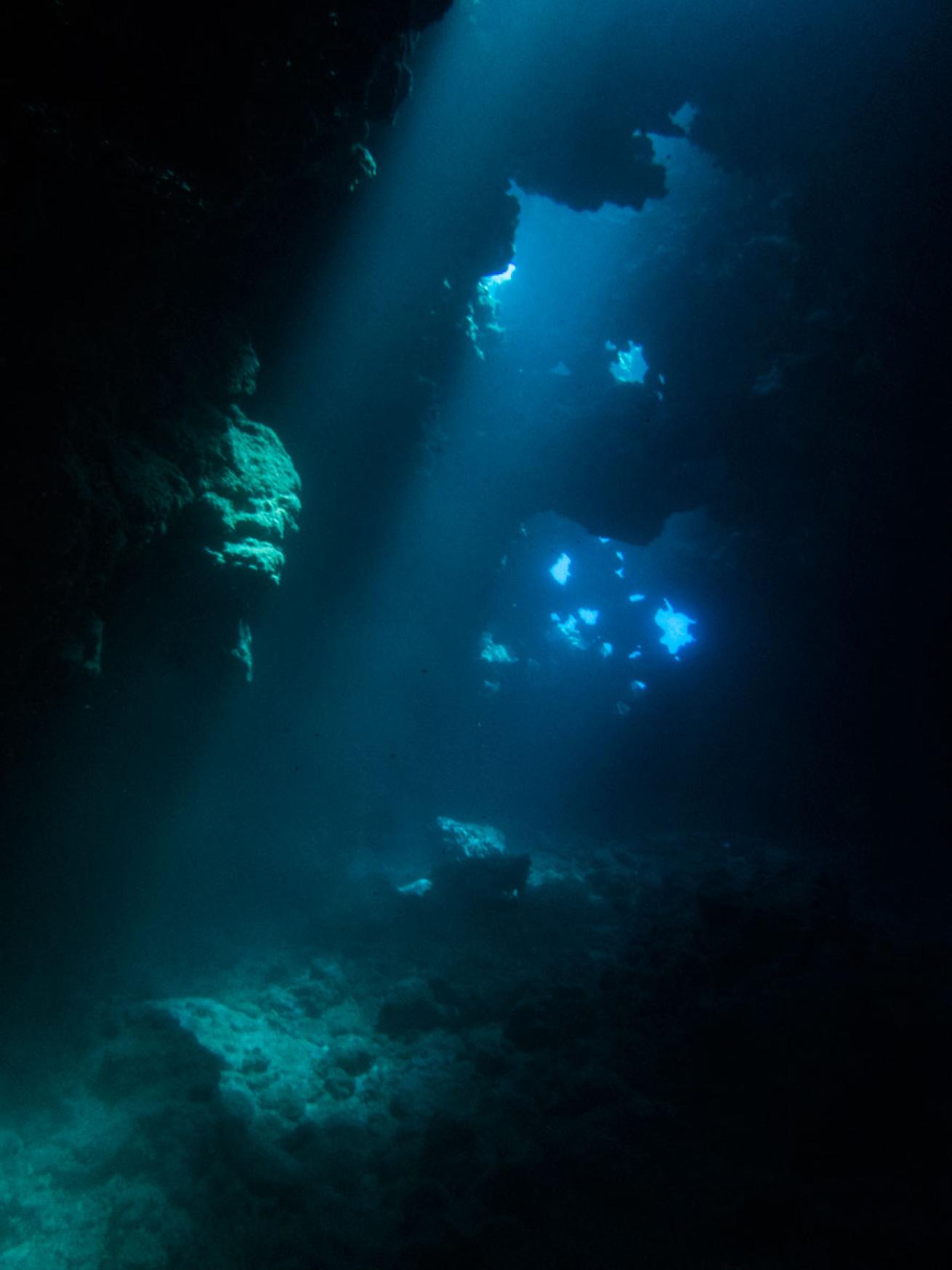 scuba diving lanai, hawaii