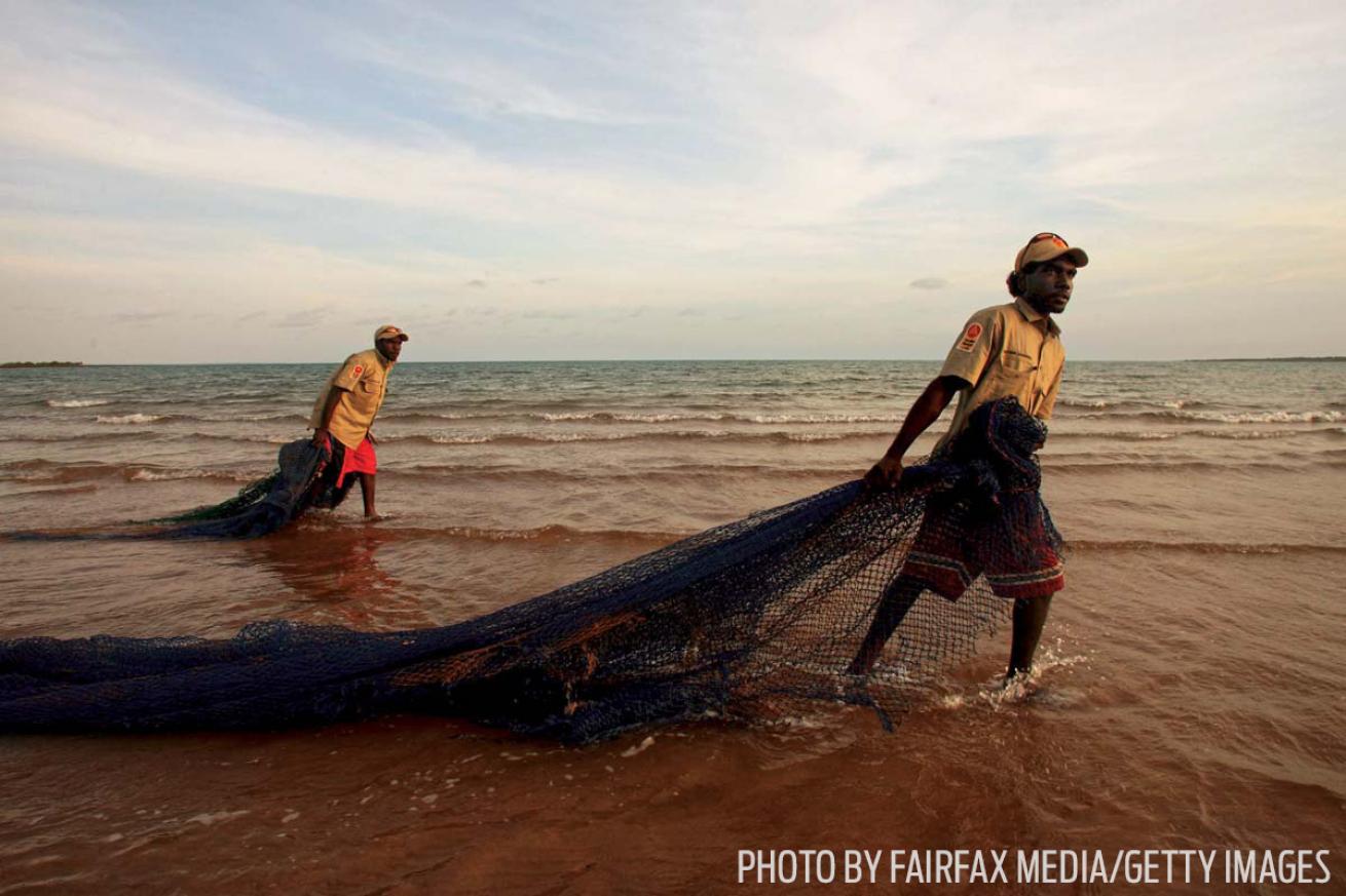 fishing net removal conservation