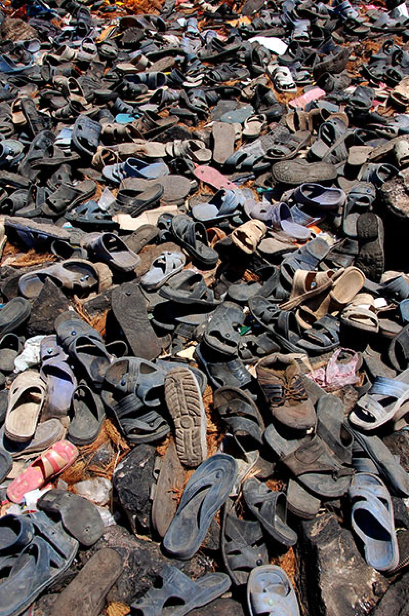 flip-flops on beach