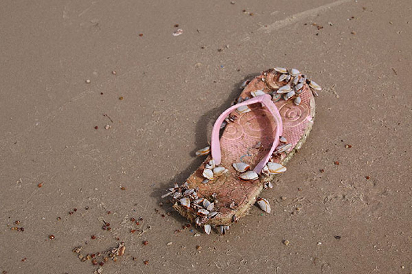 flip-flop