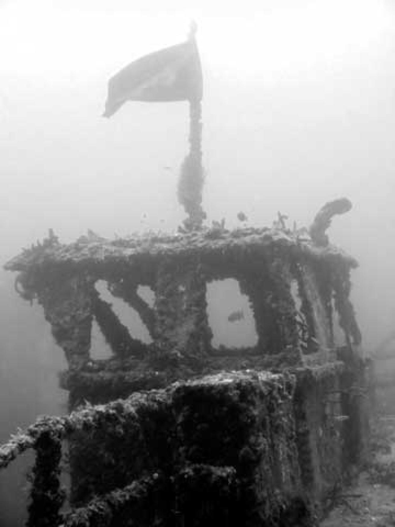 scuba diving florida keys