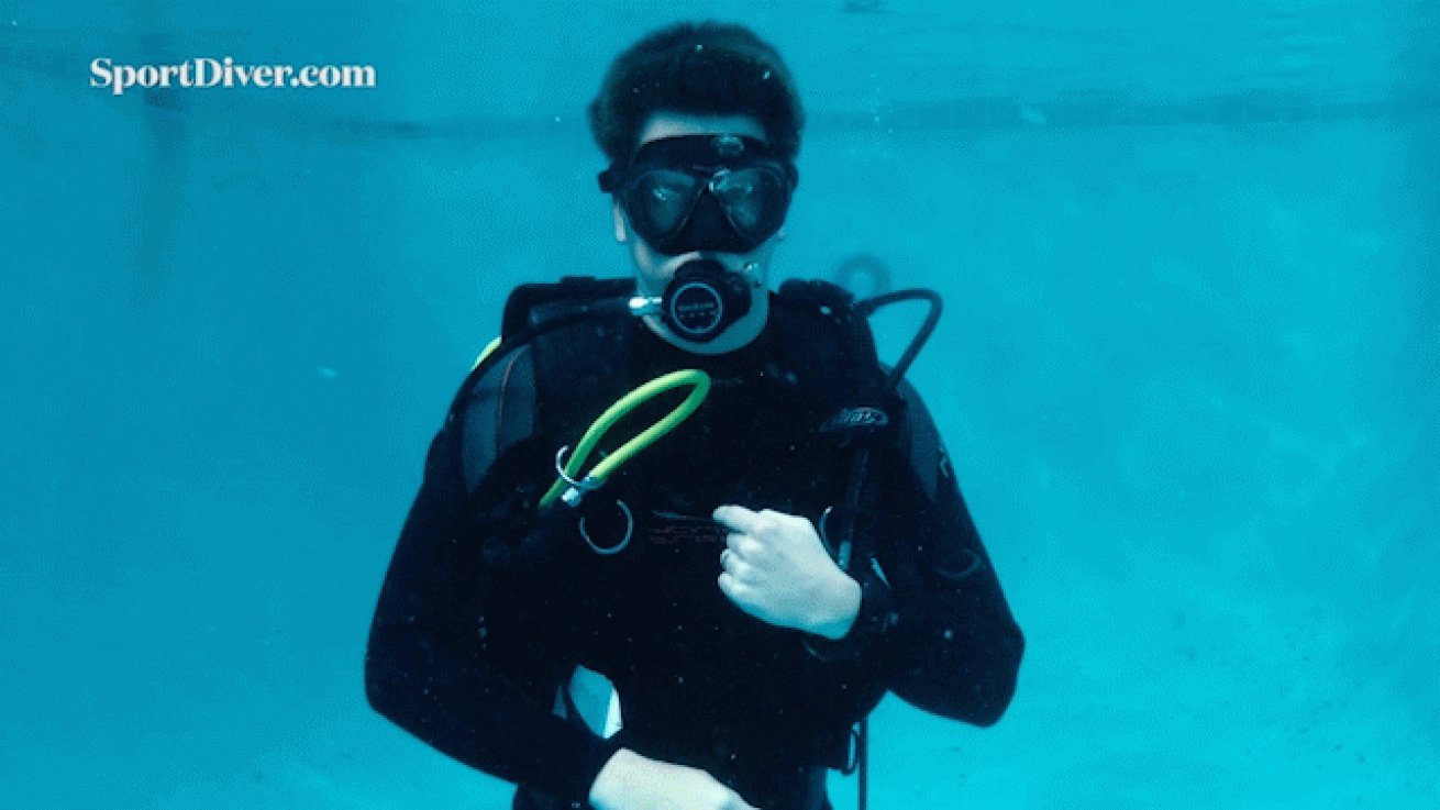 scuba diving hand signals Follow me