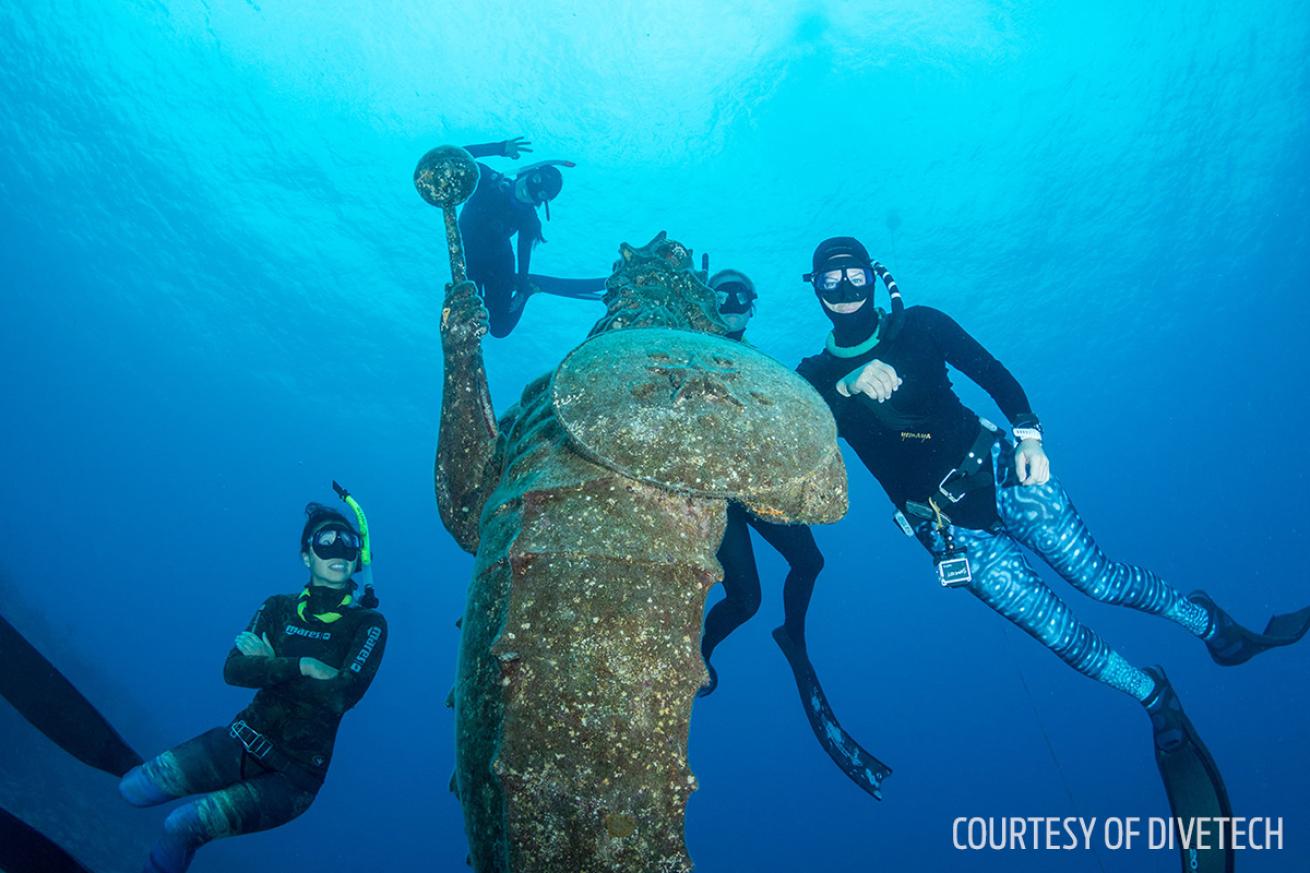 Freedivers Grand Cayman guardian reef