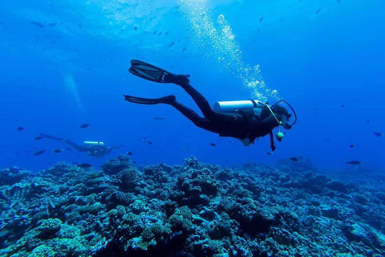 scuba diving french polynesia