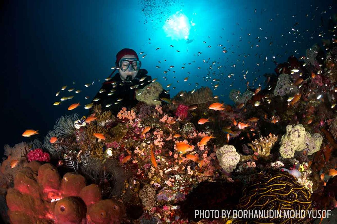 scuba diving indonesia