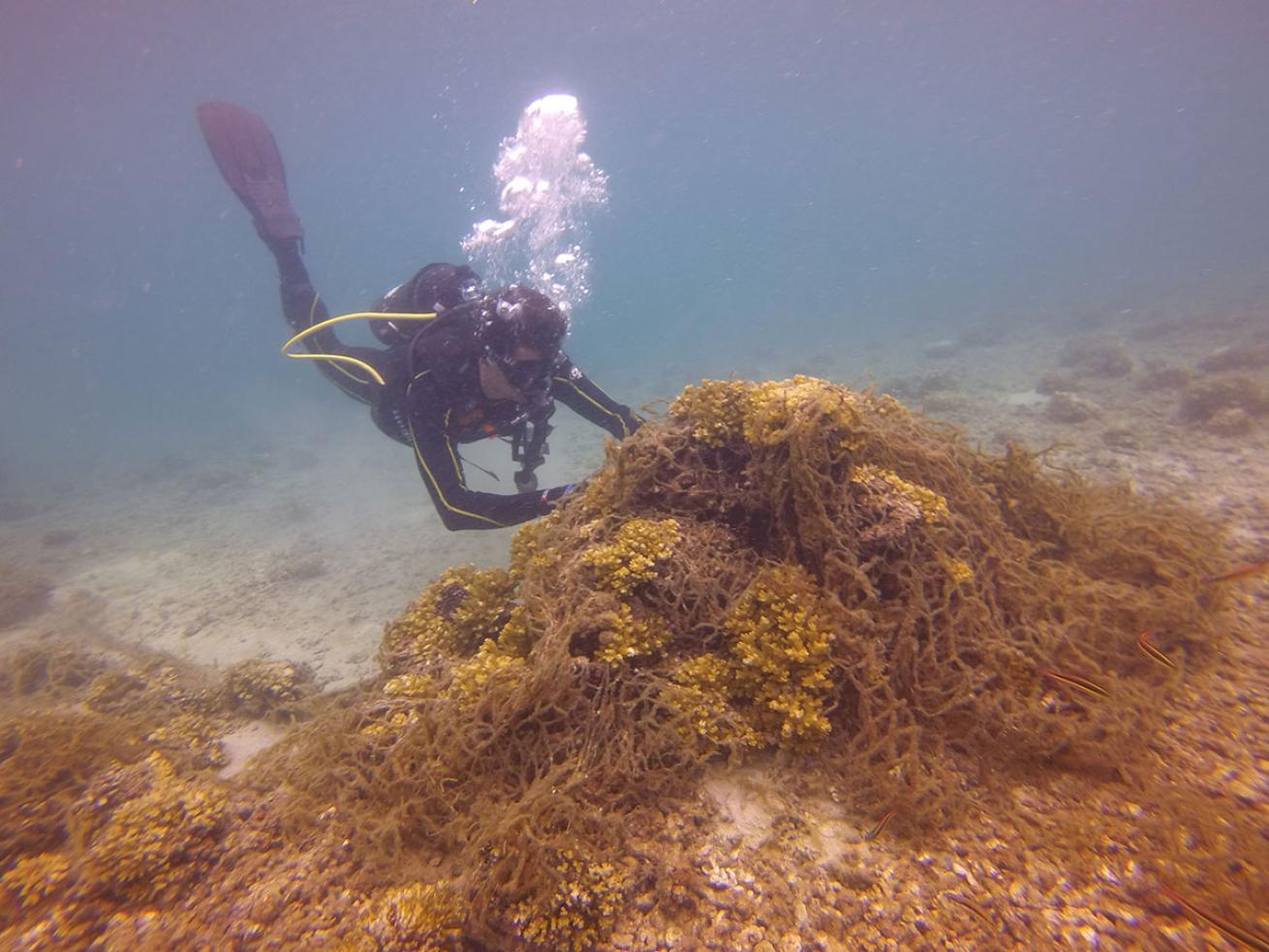 ghost fishing net removal ocean