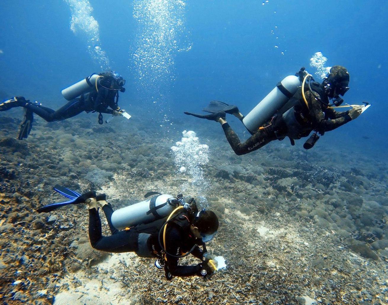 Gili coral reef survey