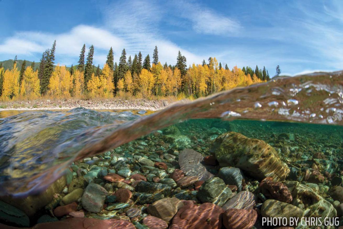 Glacier National Park Middle Fork Flathead River