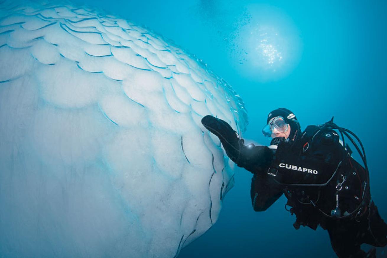 icebergs