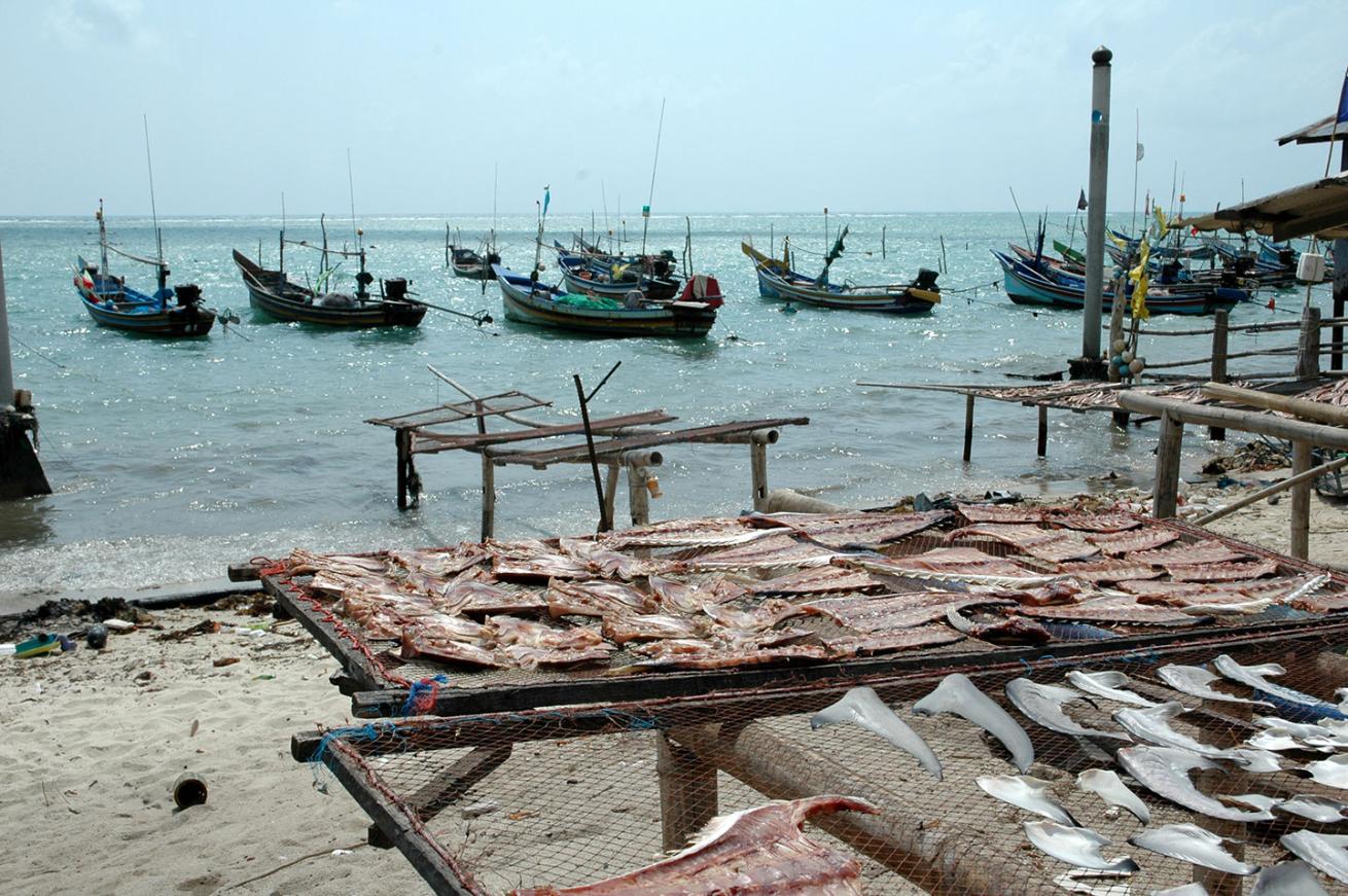 Fish market at a little fishing village